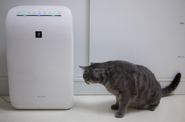 Air purifier for pets