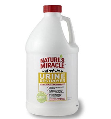 cat pee enzyme cleaner