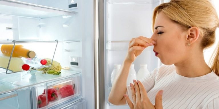 refrigerator odor eliminator