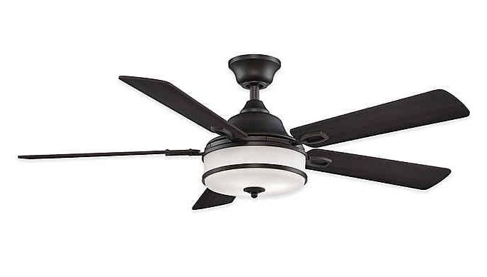 Fanimation ceiling fan