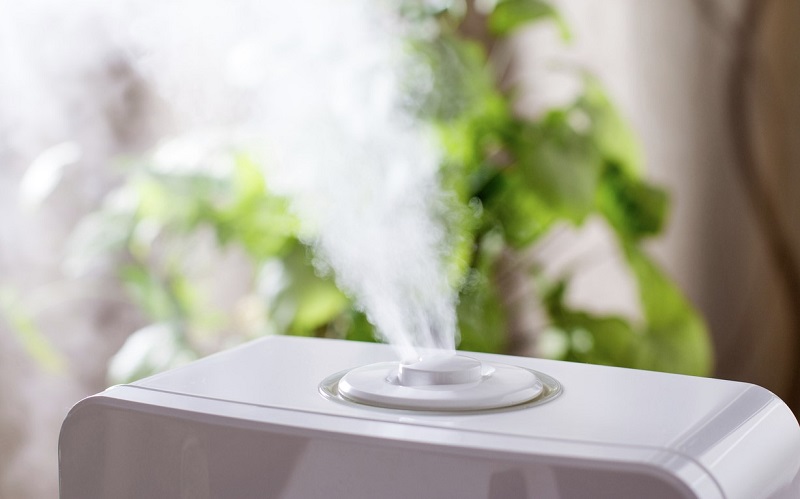 How To Prevent Mold From Forming In A Humidifier Cleancrispair