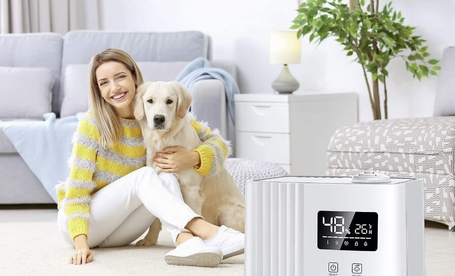 Are humidifiers safe for dogs? CleanCrispAir