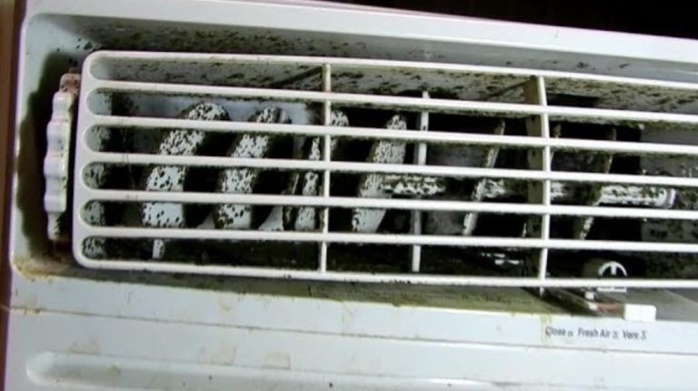 Mold in air conditioner