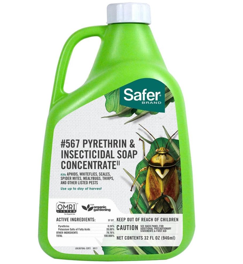 Pyrethrin insecticide by Safer