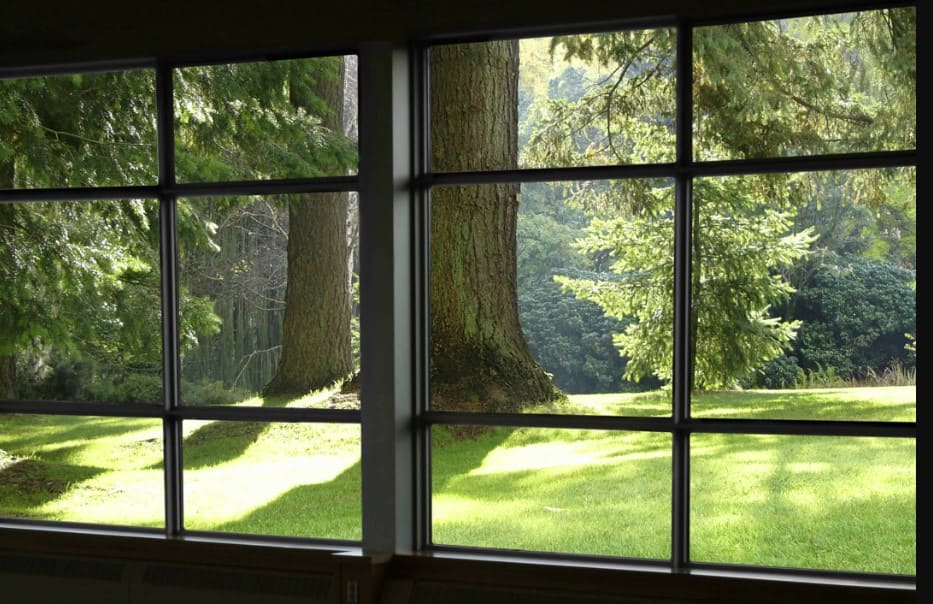 Window with trees in the background